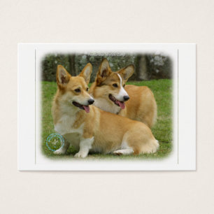 Corgi de Gallois (Pembroke)