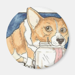 Corgi, der das Erdnussbutter-Glas leckt Magnet