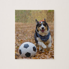 Corgi, der Fußball spielt