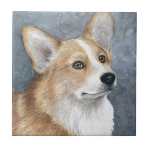 Corgi des Hund89 Fliese
