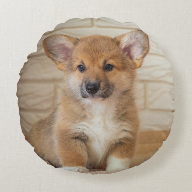 Corgi Dog Foto Rundes Kissen (Vorderseite)