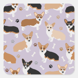 Corgi Dog Paws and Bones Quadratischer Aufkleber