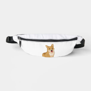 Corgi doux et souriant