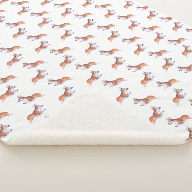 Corgi-Flugeruch Sherpadecke (3/4)