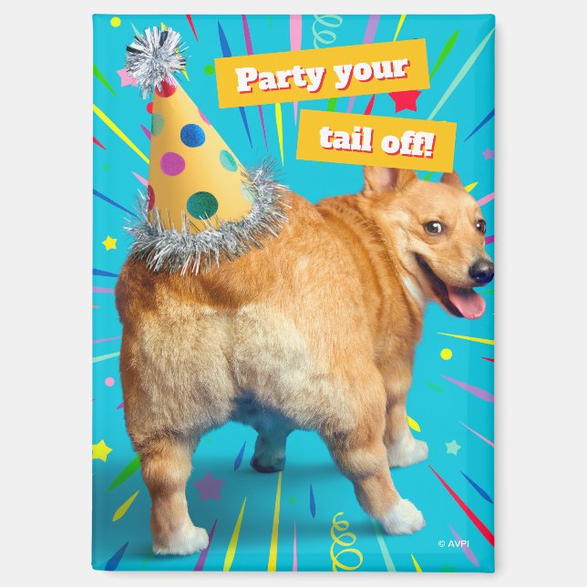 Corgi-Hintern-Geburtstagshut Magnet (Vorderseite)