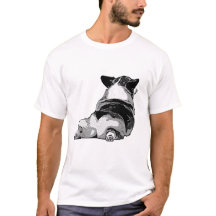 Corgi-Hintern