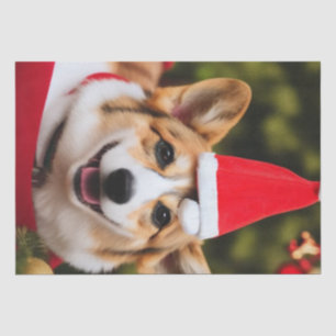 Corgi Hund lächelt Weihnachtsspass Seidenpapier