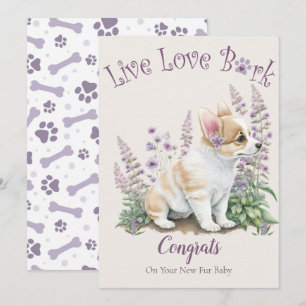 Corgi-Hunde Adoption, Gotcha-Tag Karte