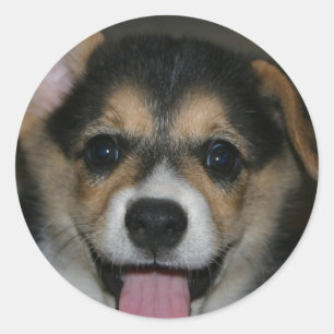 Corgi-Hundeaufkleber Runder Aufkleber