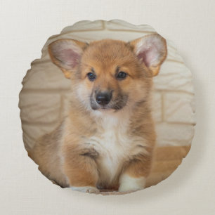 Corgi-Hundefoto Rundes Kissen