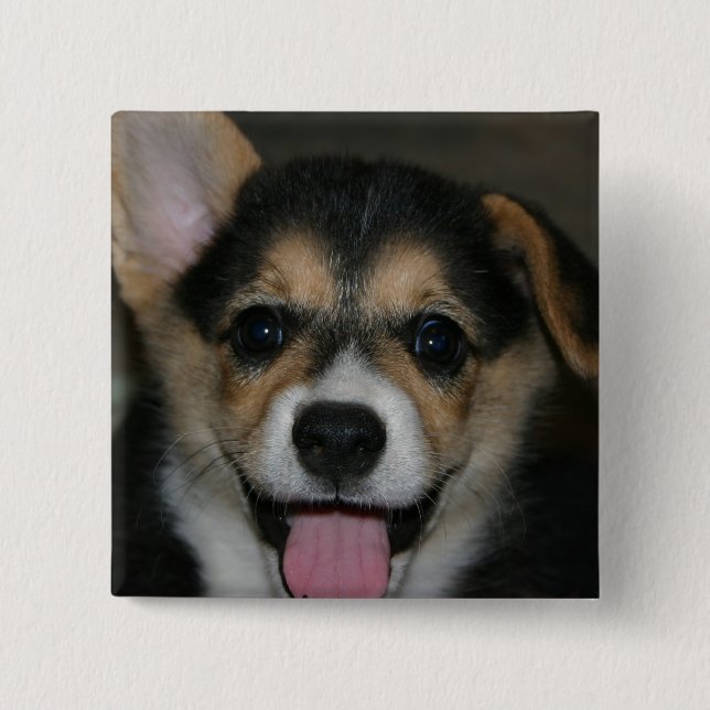 Corgi-Hundequadrat-Button Button (Vorderseite)