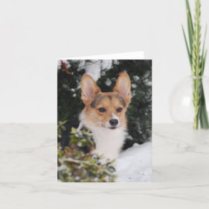 Corgi im Schnee Karte
