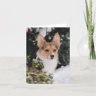 Corgi im Schnee Karte