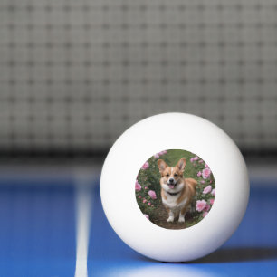Corgi in den rosa Rosen, Tischtennisball