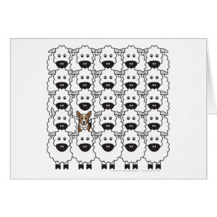 Corgi in den Schafen