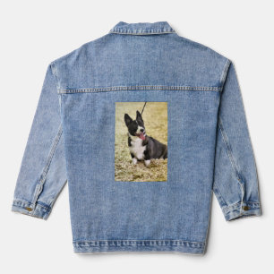 Corgi Jeansjacke
