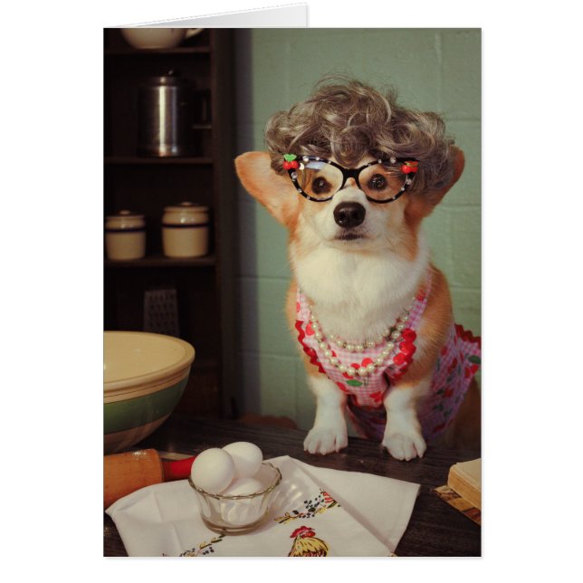 Corgi Joyeux anniversaire (Devant)