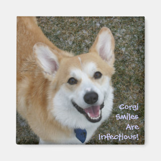 Corgi lächelt sind ansteckend! magnet