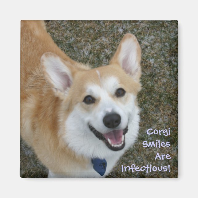 Corgi lächelt sind ansteckend! magnet (Vorne)