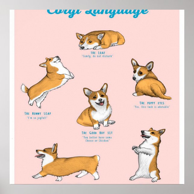 Corgi Language Print Poster (Vorne)