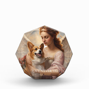 Corgi-Liebe stirbt nie Gedächtnis Fotoblock