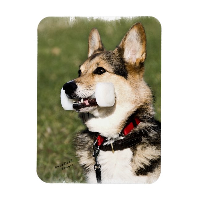 Corgi Magnet (Vertikal)