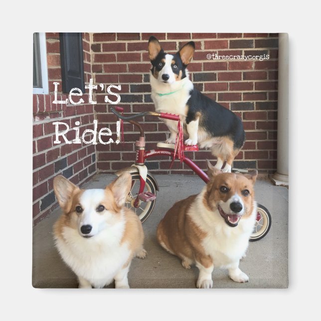 Corgi Magnet (Devant)