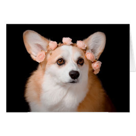 Corgi mit Blume in ihrem Haar