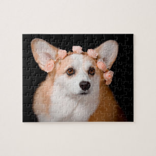 Corgi mit Blumen in ihrem Haar