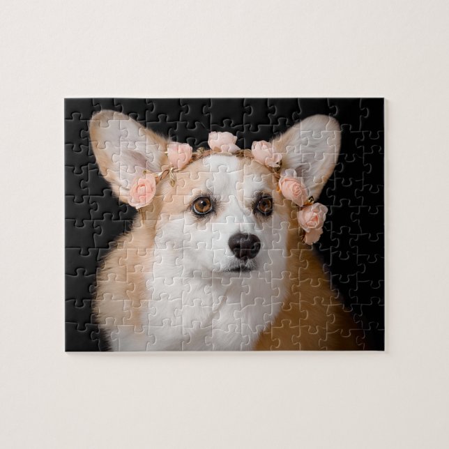 Corgi mit Blumen in ihrem Haar (Horizontal)