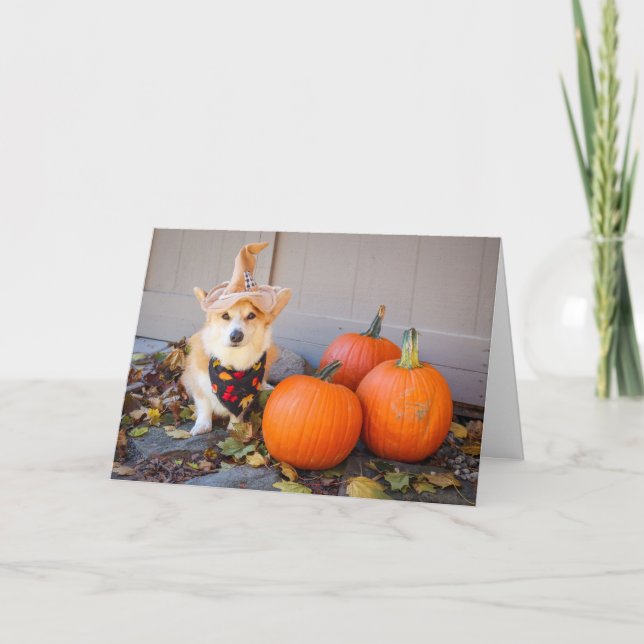 Corgi mit Pumpkin-Erntedank-Karte Karte (Vorderseite)