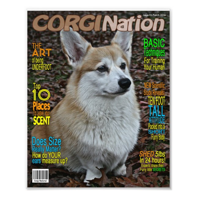 Corgi Nation Magazine (Customizable Print) Fotodruck (Vorne)