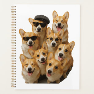 Corgi Planer
