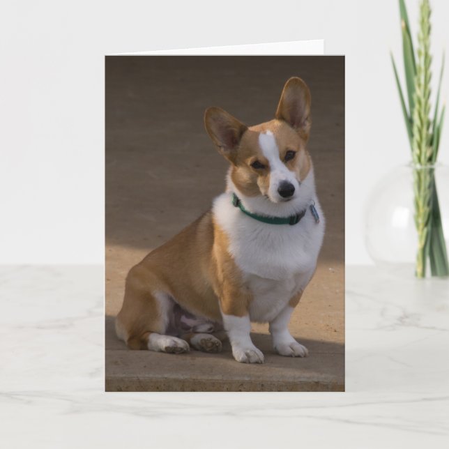 Corgi Portrait Karte (Vorderseite)