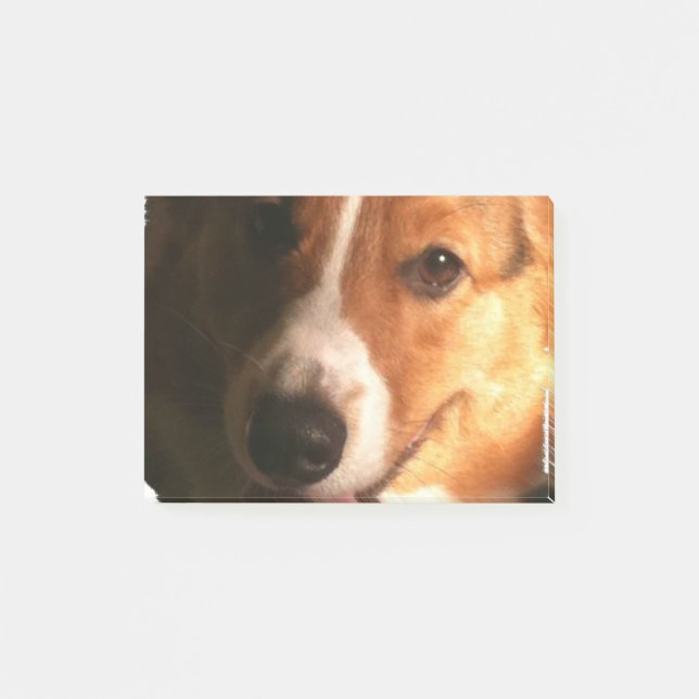 Corgi Post-it Klebezettel (Vorderseite)