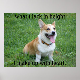 Corgi Poster