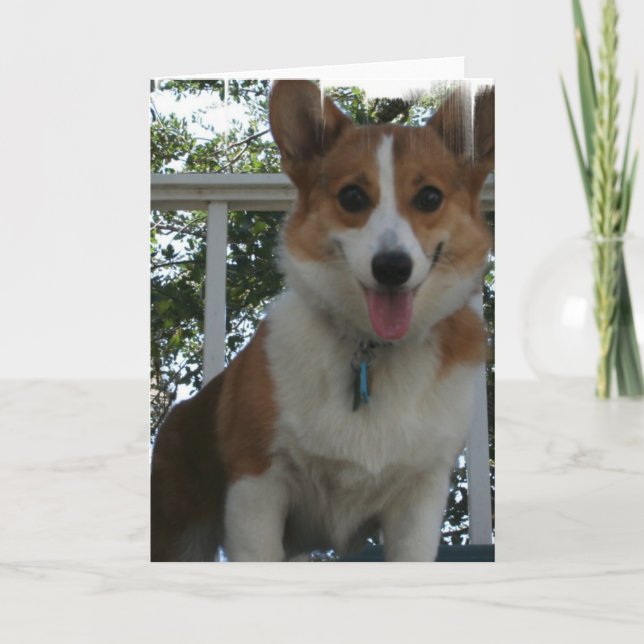 Corgi Puppy Dog Grußkarte Karte (Vorderseite)