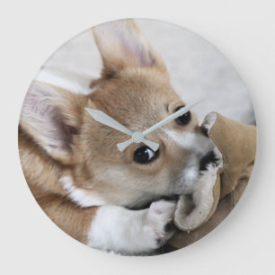 Corgi Puppy Wall Clock Große Wanduhr
