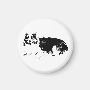Corgi ruhig bleibt nah magnet
