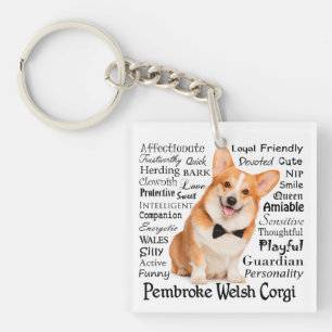 Corgi Traits