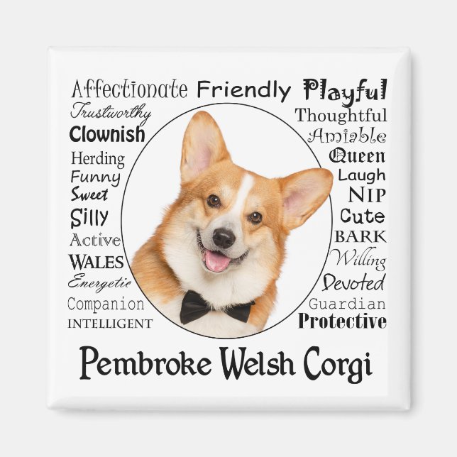 Corgi Traits Magnet (Vorne)