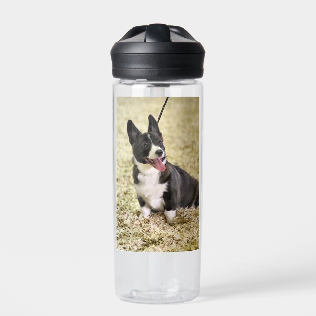 Corgi Trinkflasche (Vorderseite)