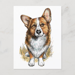 Corgi und Kühe Postkarte