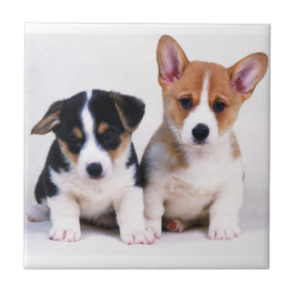 Corgi-Welpen-Keramik-Fliese Fliese
