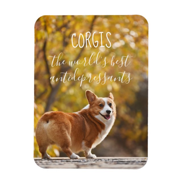 Corgis Die besten Antidepressiva der Welt Magnet (Vertikal)