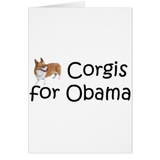 Corgis für Obama (Vorne)