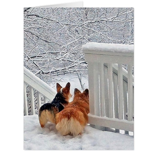 Corgis im Schnee (Vorderseite)
