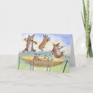 Corgis sur une carte d'anniversaire Trampoline