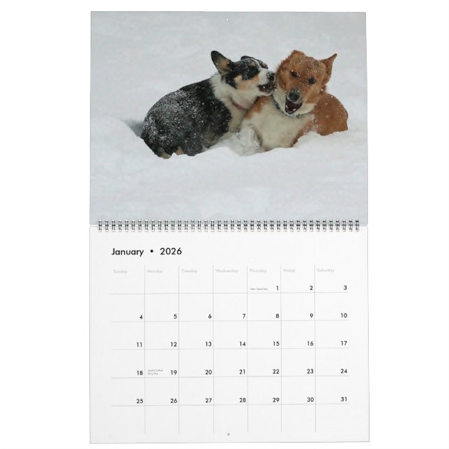 Corgis unterwegs2014 kalender (Jan 2026)