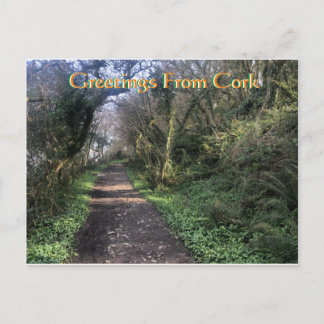 Cork Ireland Postcard Postkarte